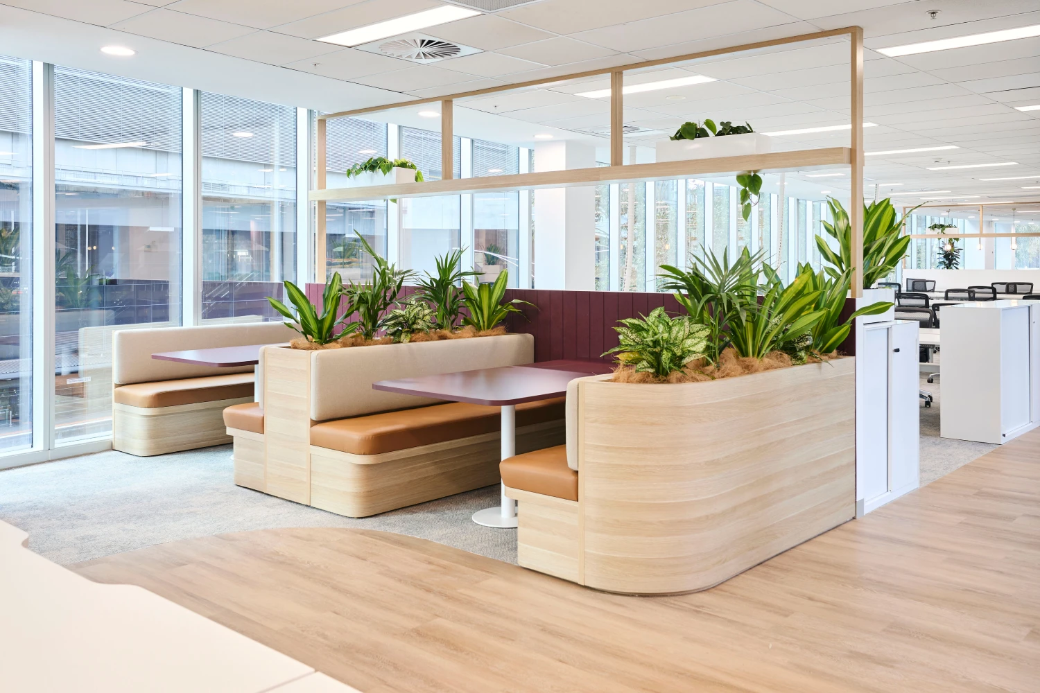 Office Fit Out & Design
